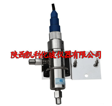在線(xiàn)電導電極
