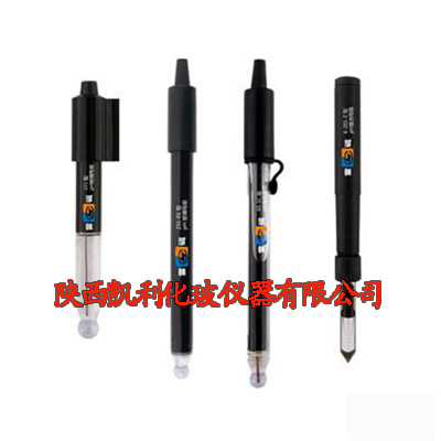 實(shí)驗室pH復合電極 實(shí)驗室pH復合電極